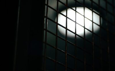 Nouvelle Murder Party à Paris 15 chez Cinévasion : enquête en prison